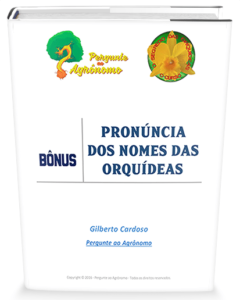 Bonus Pronuncia12 menor