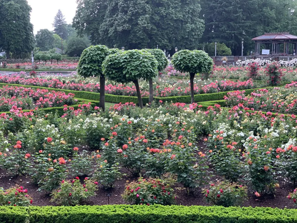 Jardim de rosas, Peninsula Park Rose Garden