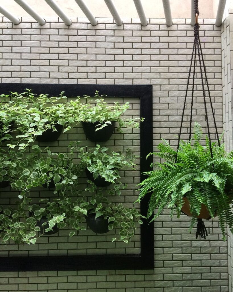 jardim vertical com plantas pendentes