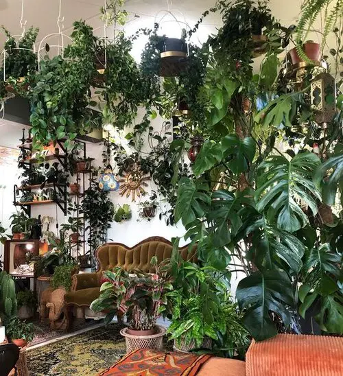Sala com plantas de diferentes espécies e tamanhos