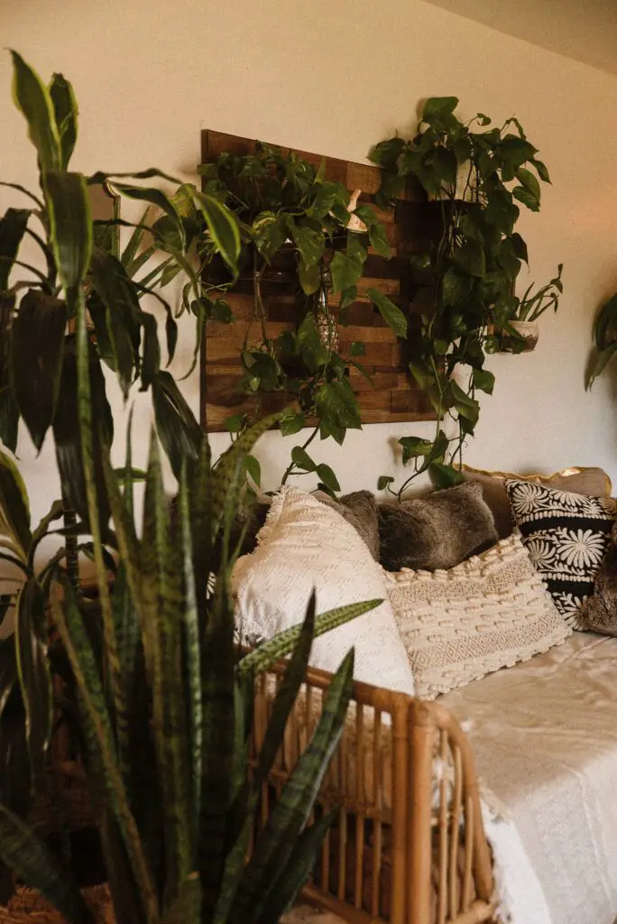 urban jungle com plantas penduradas em um suporte na sala