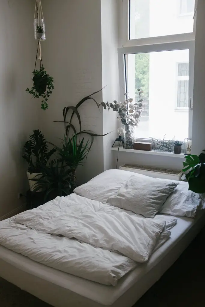 plantas no quarto