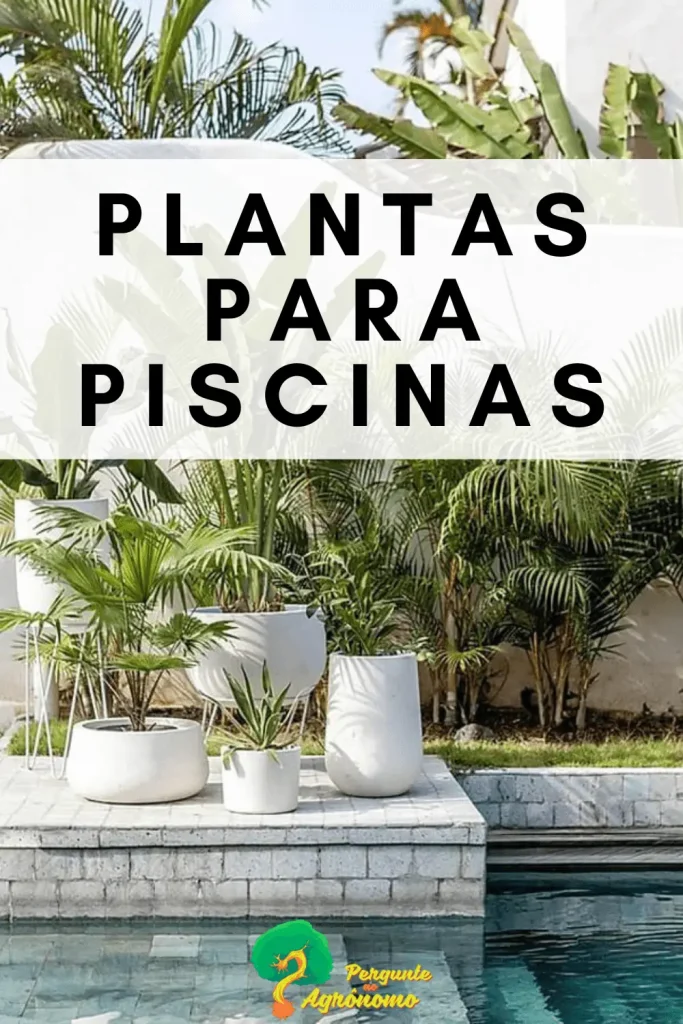 Melhores Plantas Para Piscinas E 13 Inspirações De Jardins