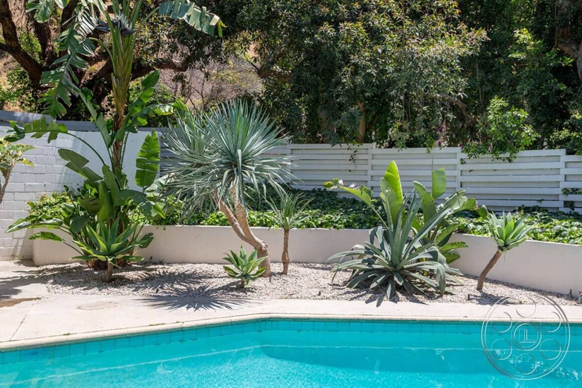 Melhores Plantas Para Piscinas E 13 Inspirações De Jardins