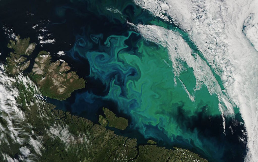 fitoplancton alterando cor dos oceanos no ártico