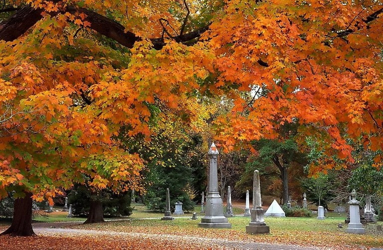 Jardim público Cemitério Spring Grove
