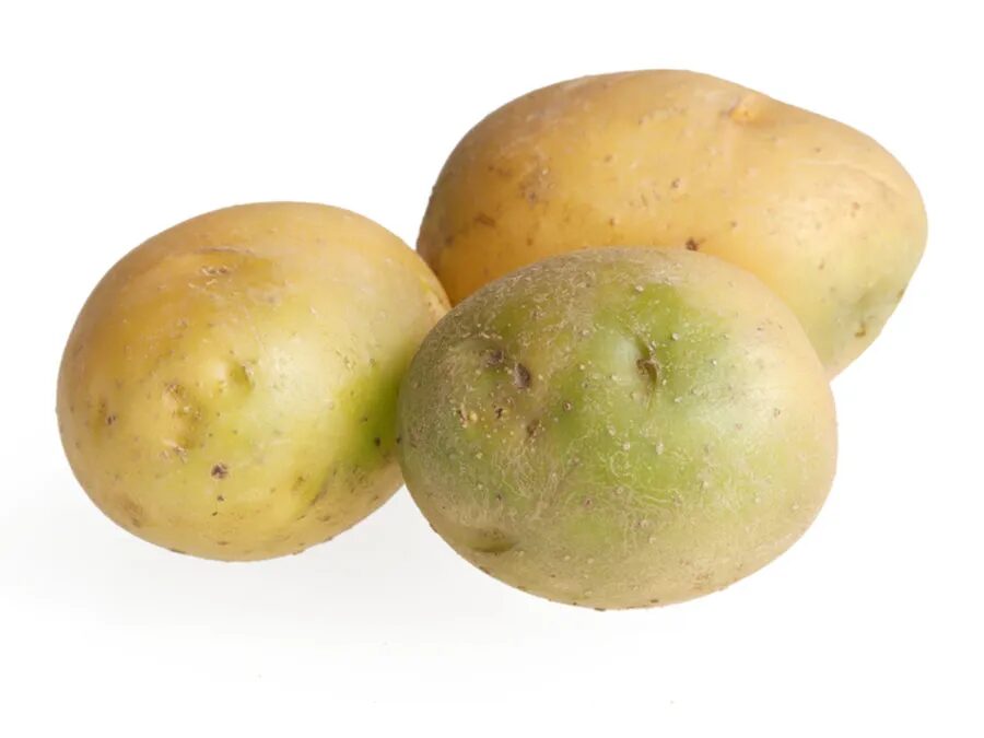 batatas esverdeadas