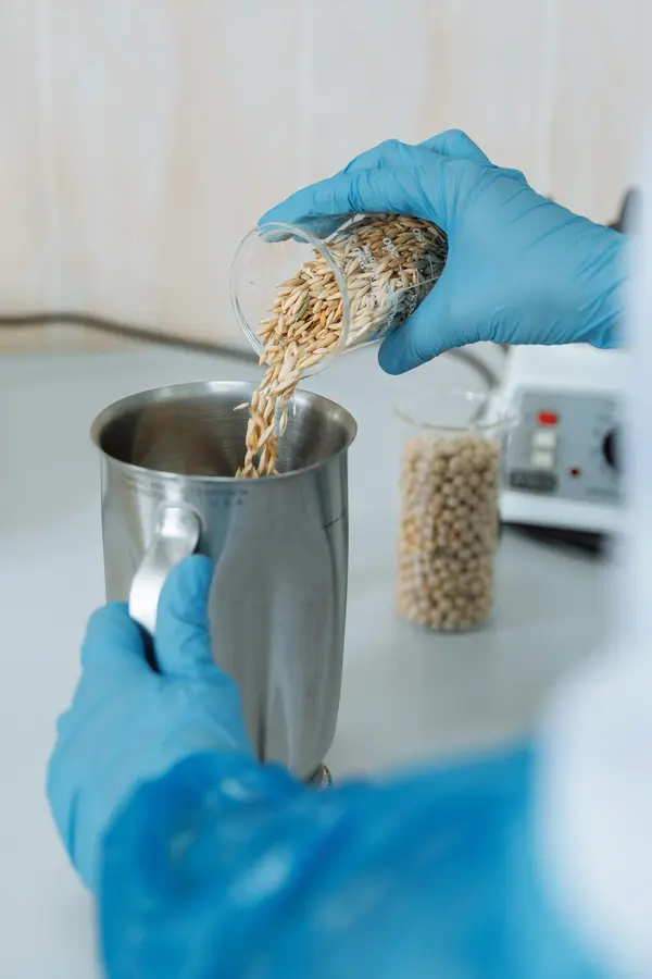 análise arroz contaminado com agrotóxico