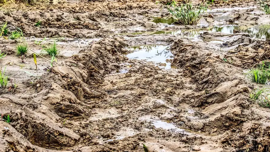 SoilHealth TheOhioStateUniversity