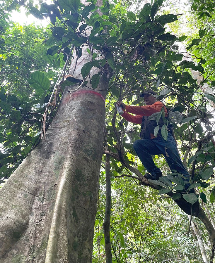 Fazenda Iracema