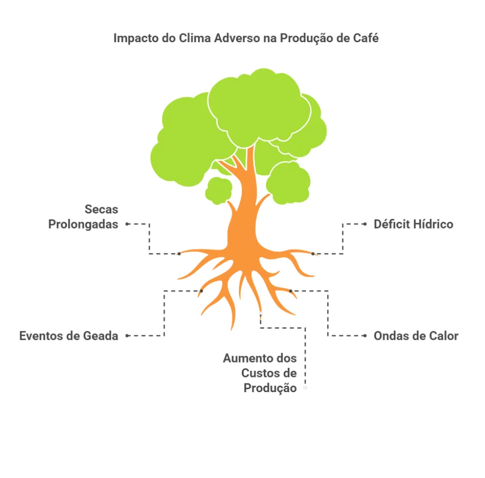 Impacto do Clima Adverso na Produção e nos preços do café